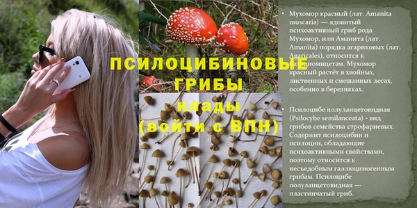 кокаин VHQ Белокуриха
