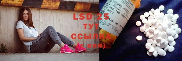 ГАЛЛЮЦИНОГЕННЫЕ ГРИБЫ Беломорск