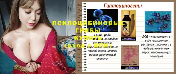 ГАЛЛЮЦИНОГЕННЫЕ ГРИБЫ Беломорск
